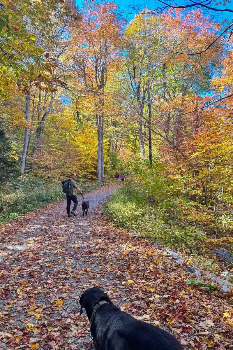 Mount Greylock State Reservation