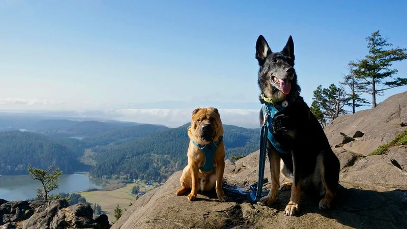 State Park Leash Requirements