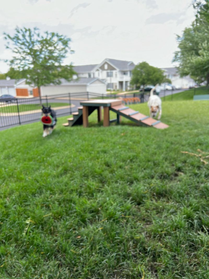 Happy Tails Dog Park: Oswego's Community Creation