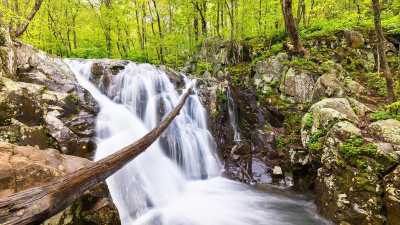 Rose River Loop: Gentle Wilderness Immersion