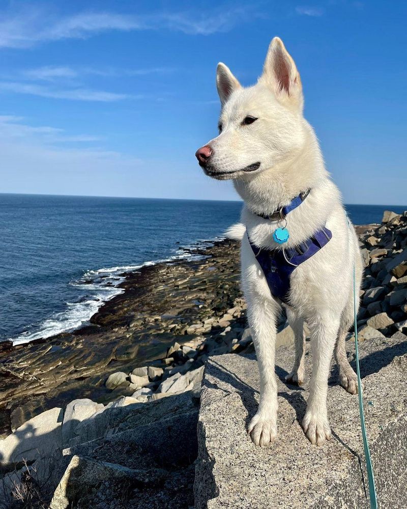 Halibut Point State Park in Rockport