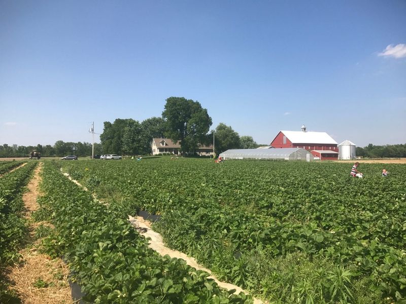 Hann Farms Market — Columbus