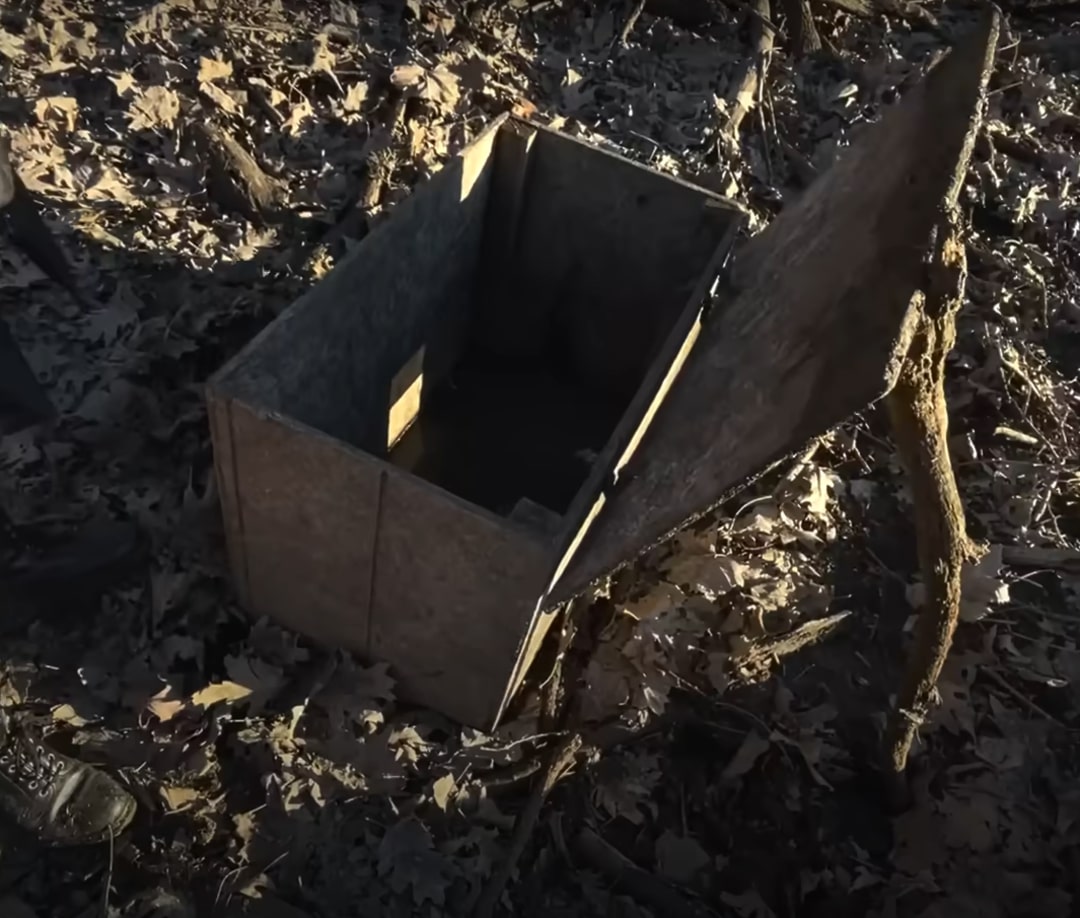 a box in the woods 