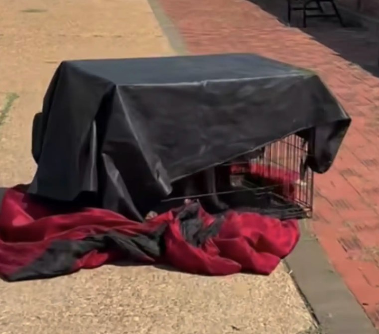 abandoned crate on the street 