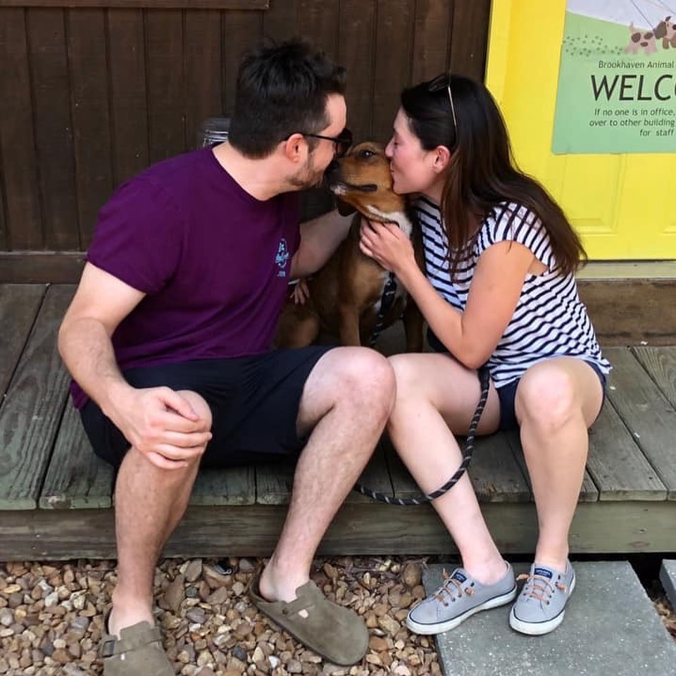 abandoned dog adopted by new family