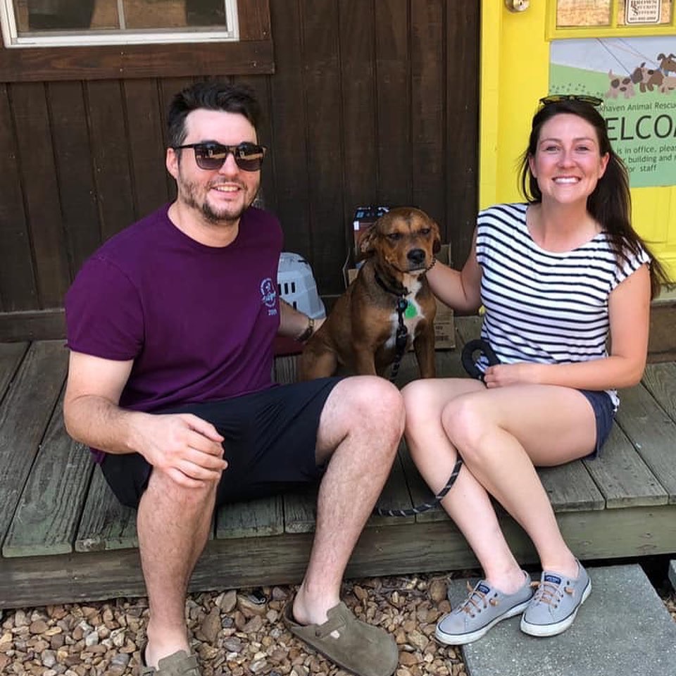 abandoned dog with a new family