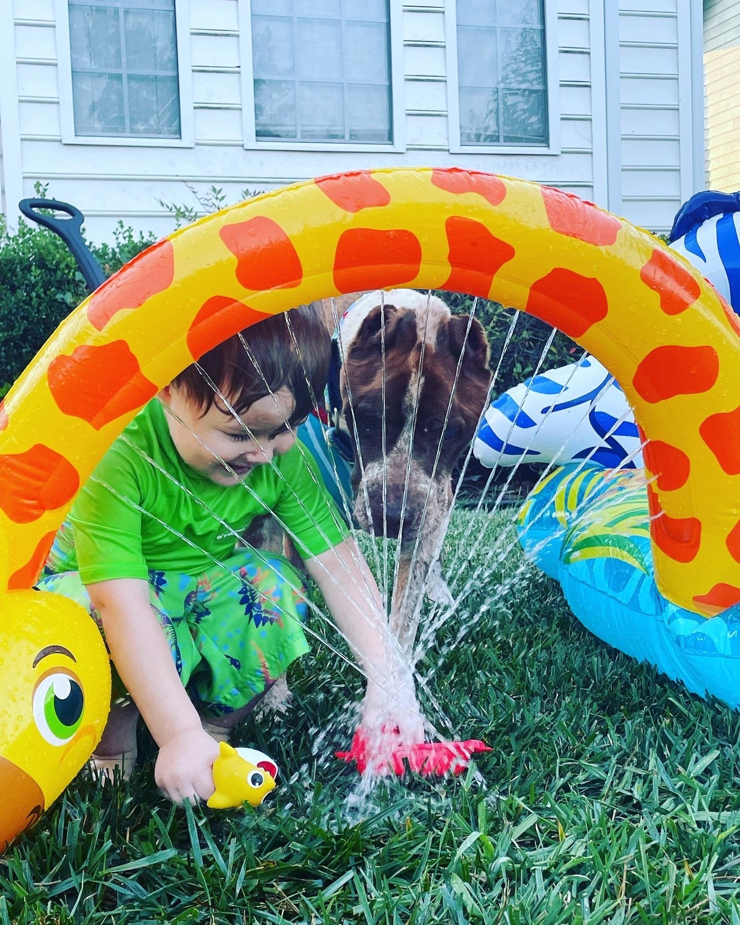 baby and dog