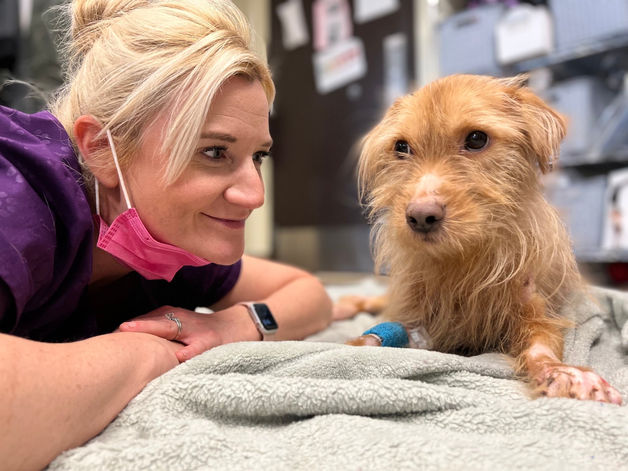 blonde woman and brown dog