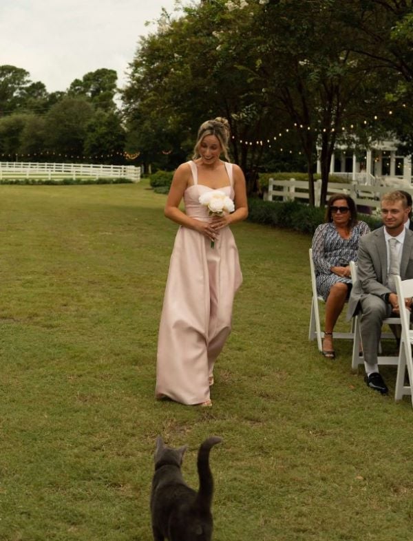 bride and cat