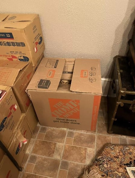 cardboard boxes 