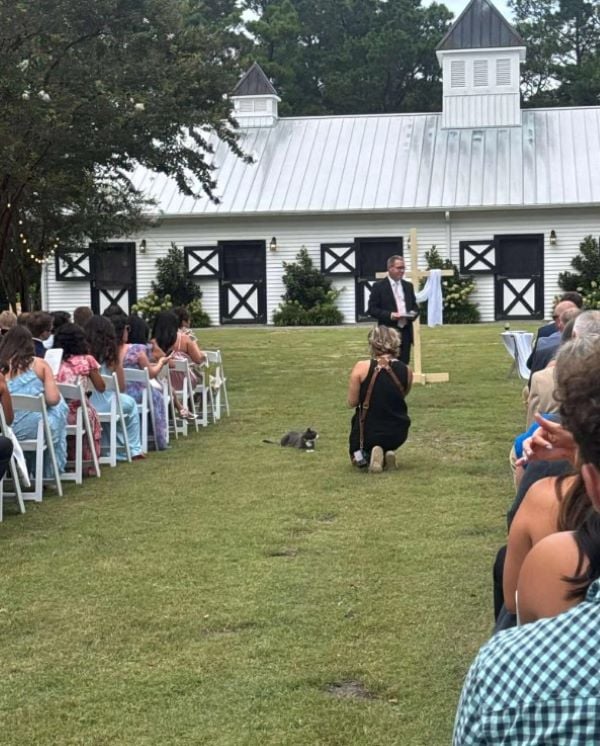 cat at ceremony