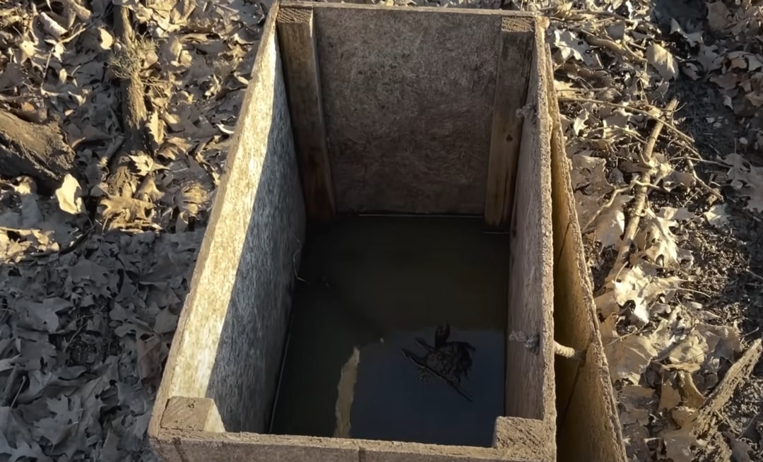 close up of the box in the woods 