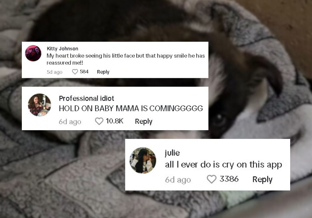 comments on tiktok