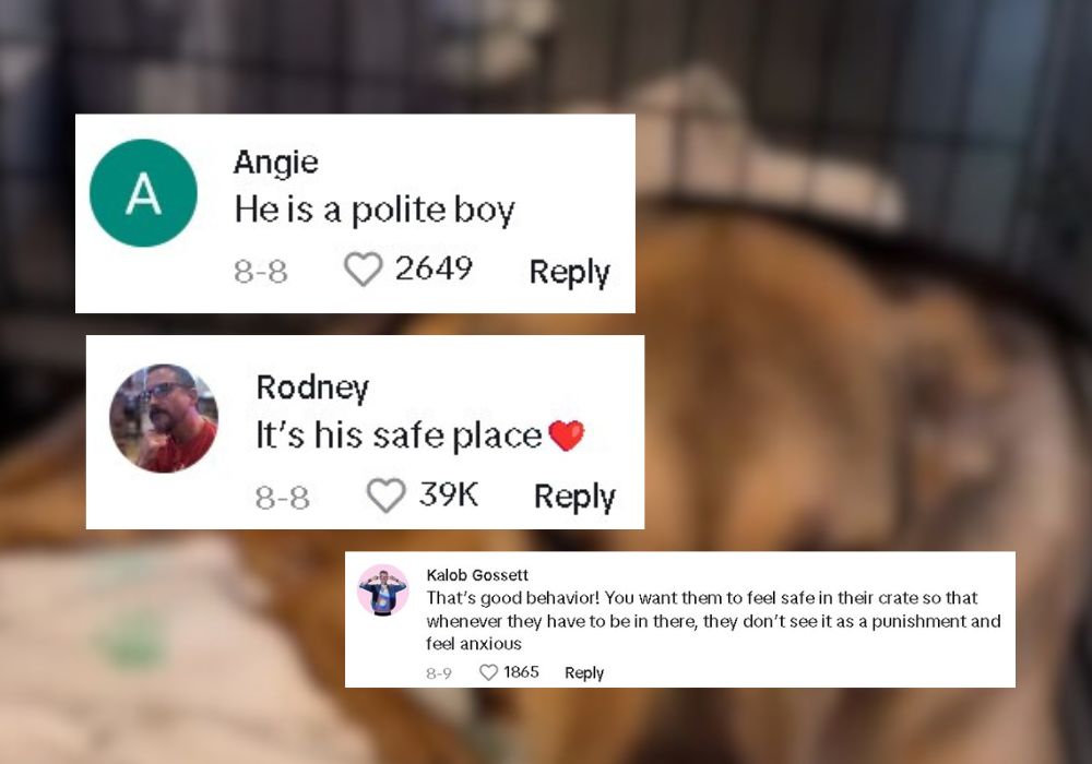 comments on tiktok