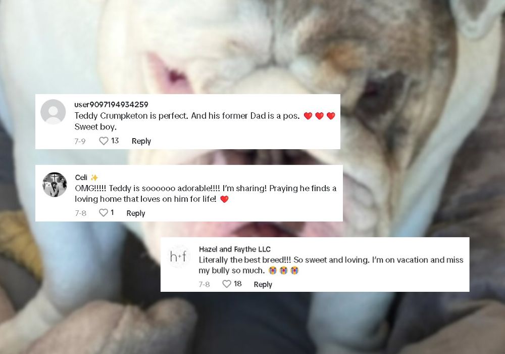 comments on tiktok