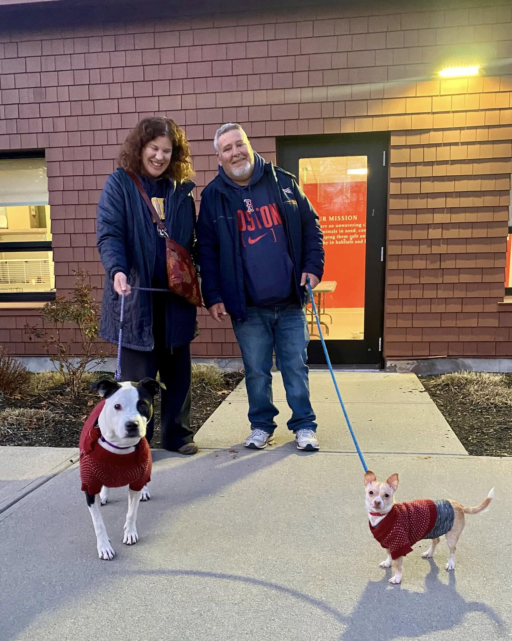 couple and two dogs on leash