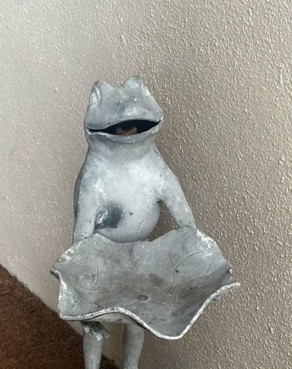 cute frog statue