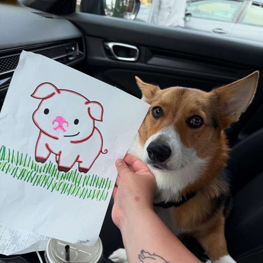 dog and drawing