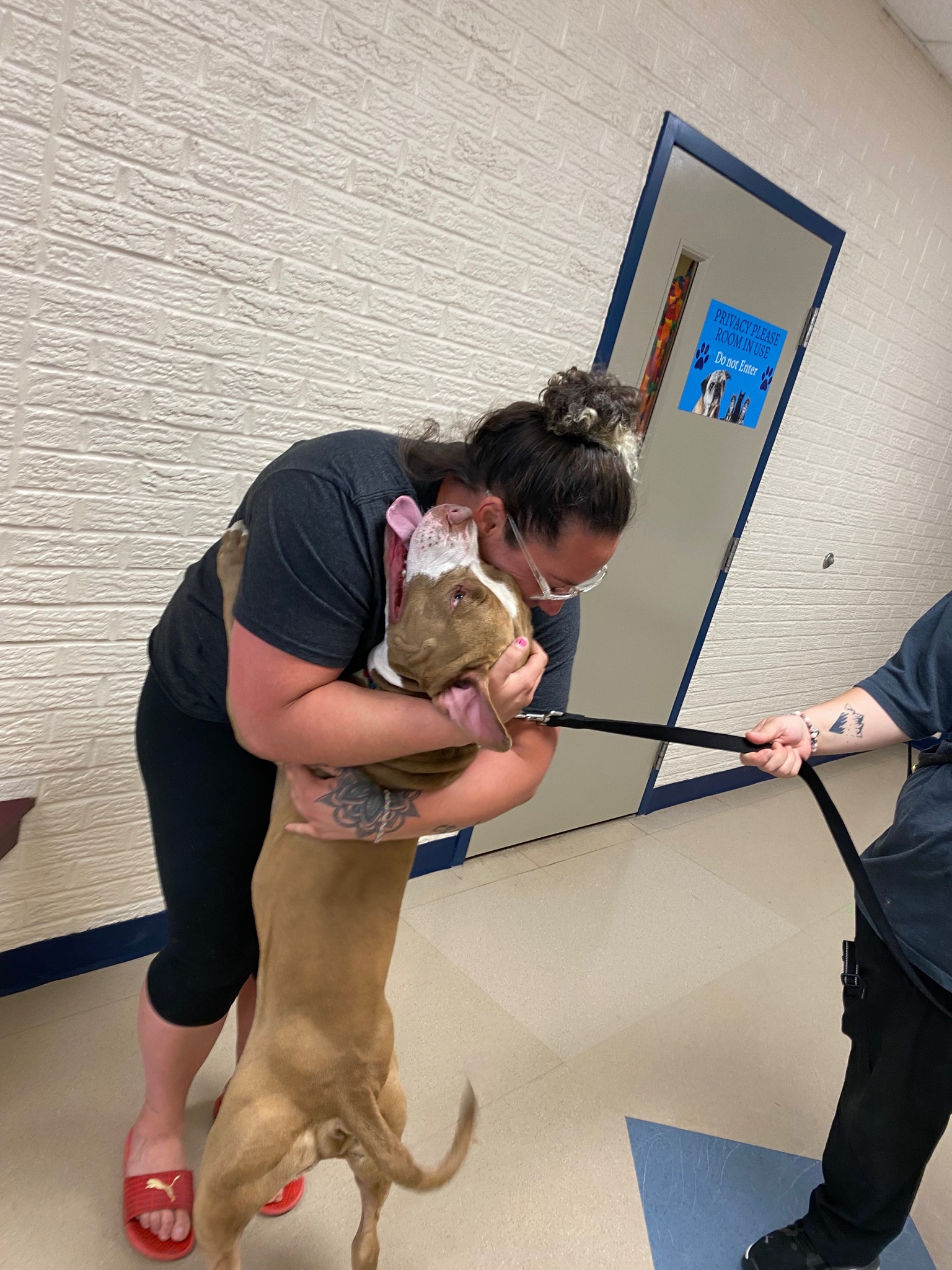 dog and owner reuniting in a hug