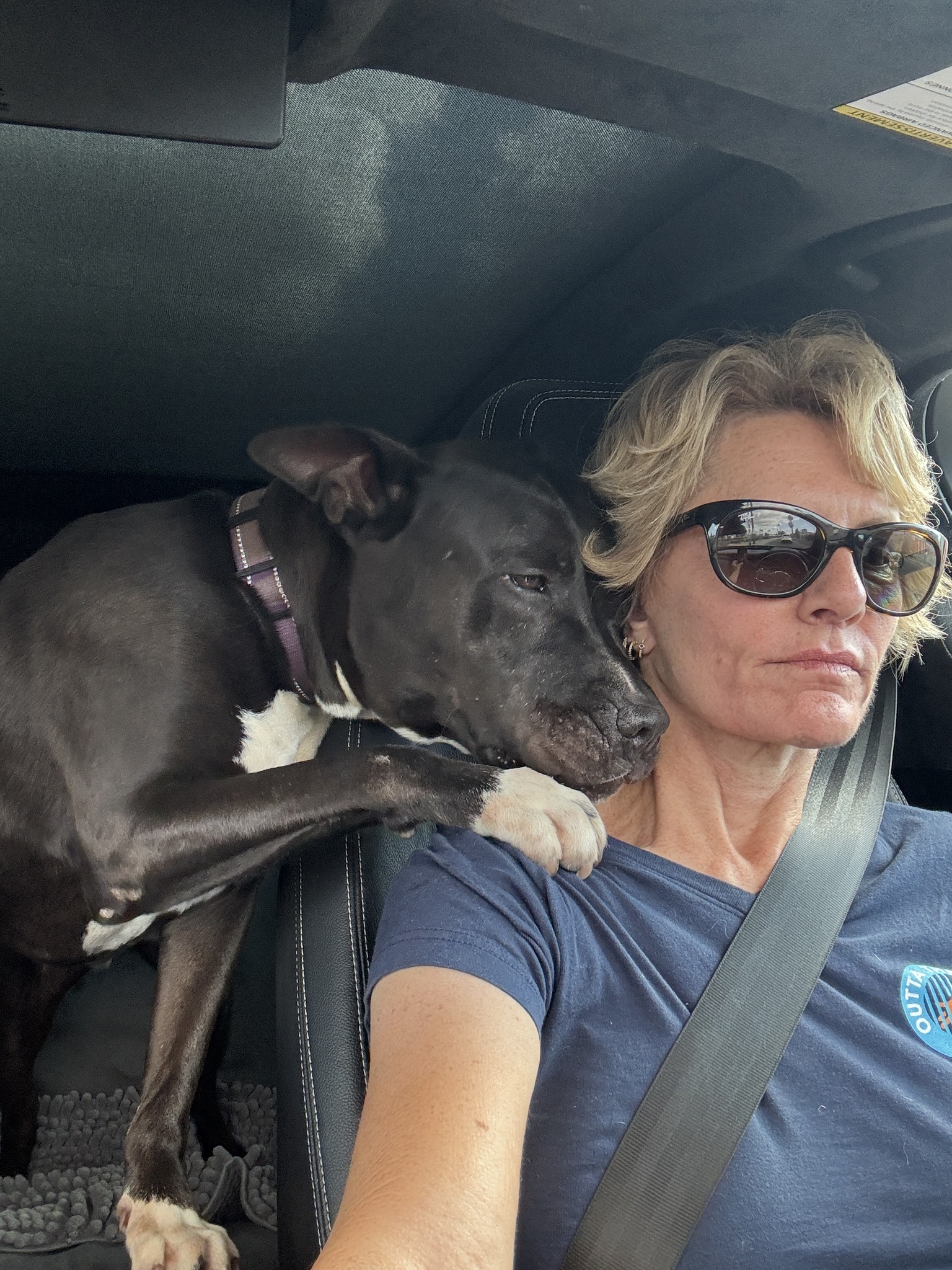 dog and woman in car
