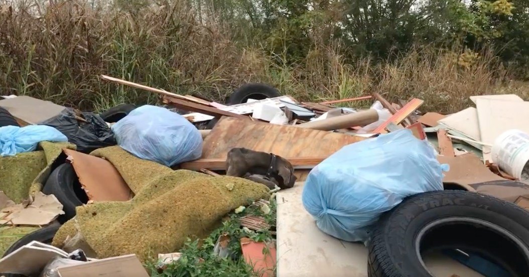 dog huddled in a tiny ball at dump