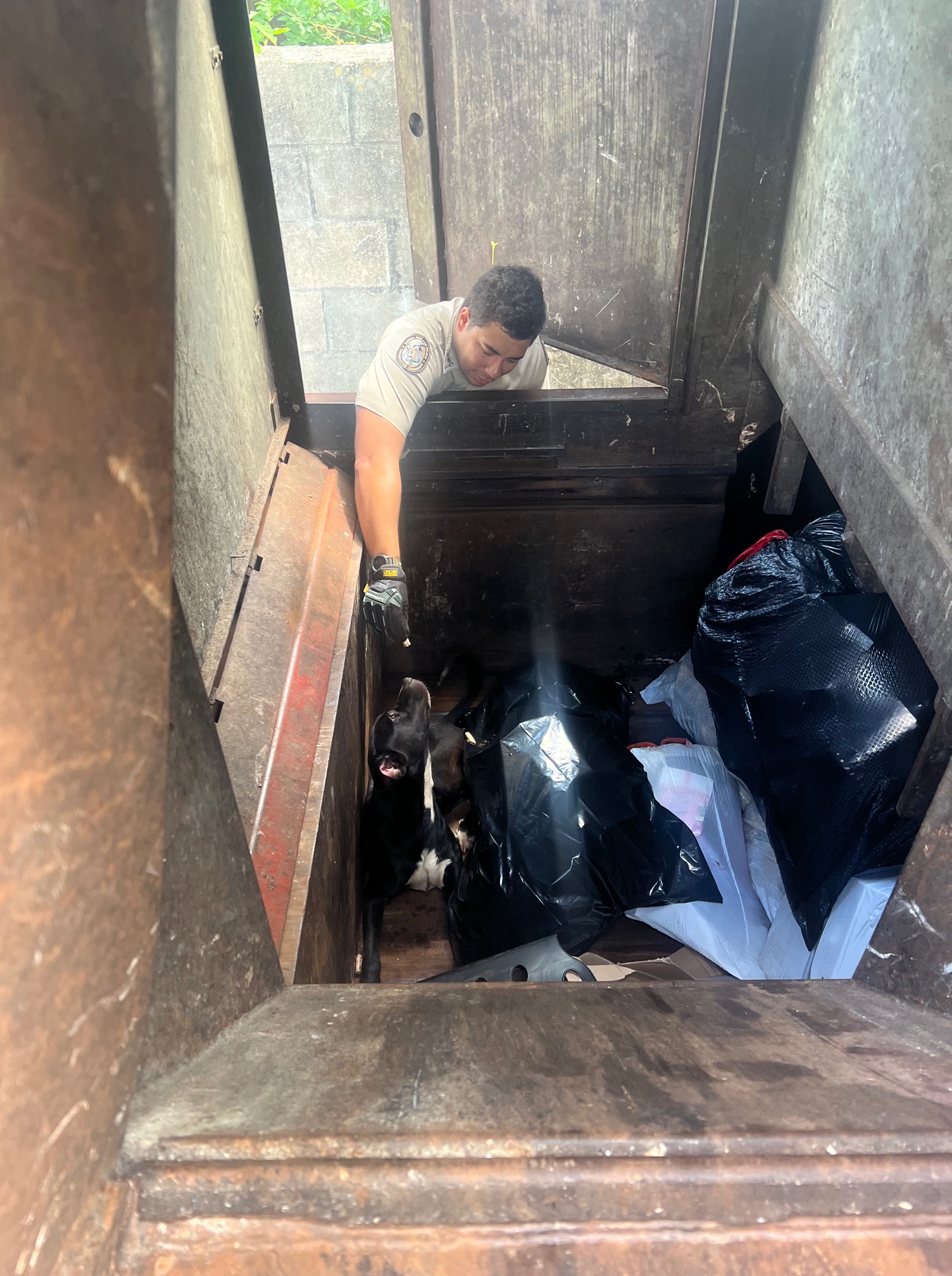 dog in trash