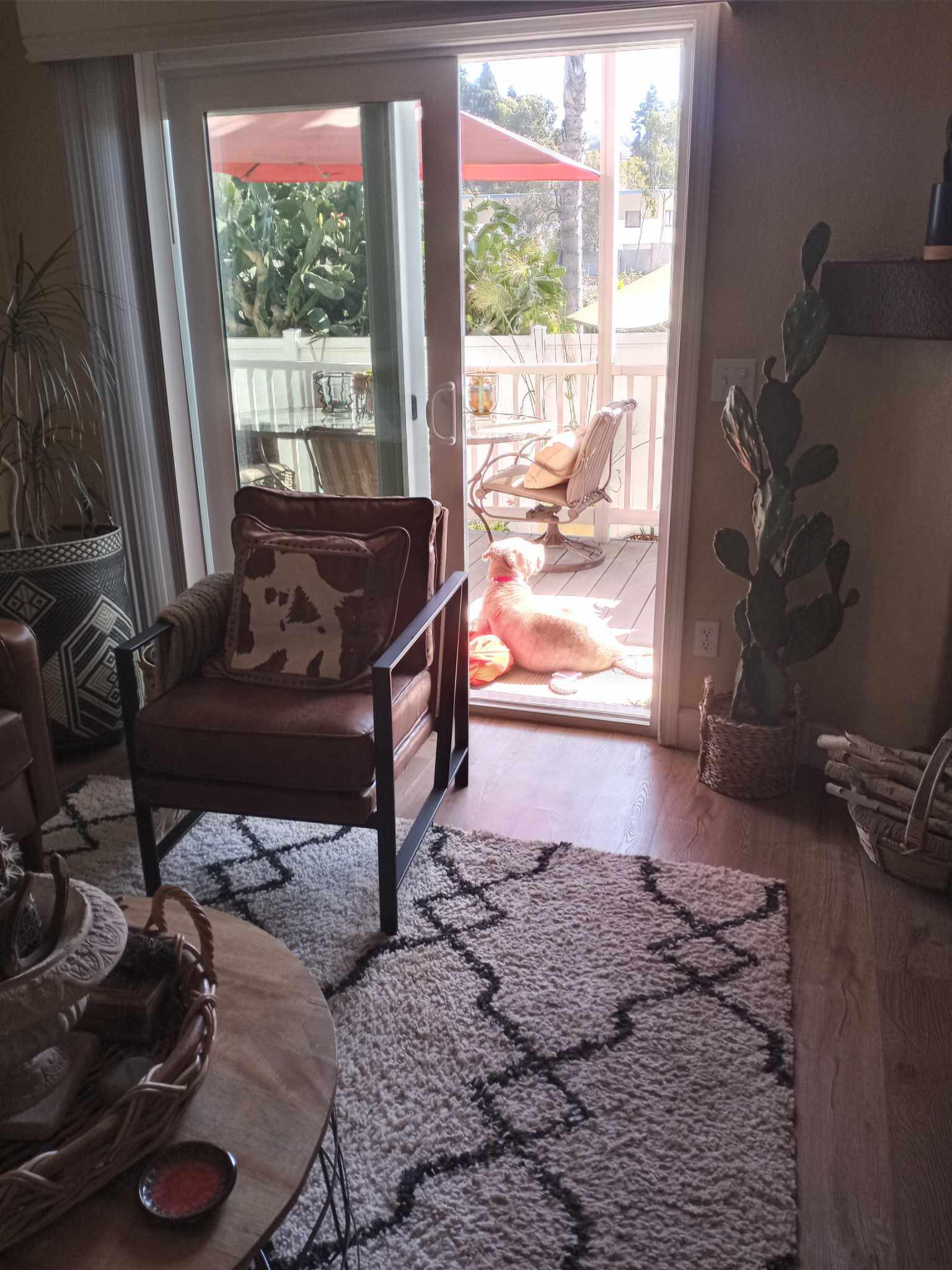 dog laying on balcony
