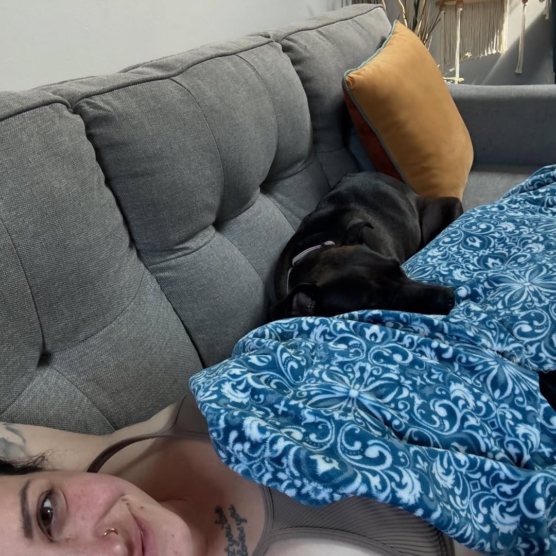 dog laying on bed