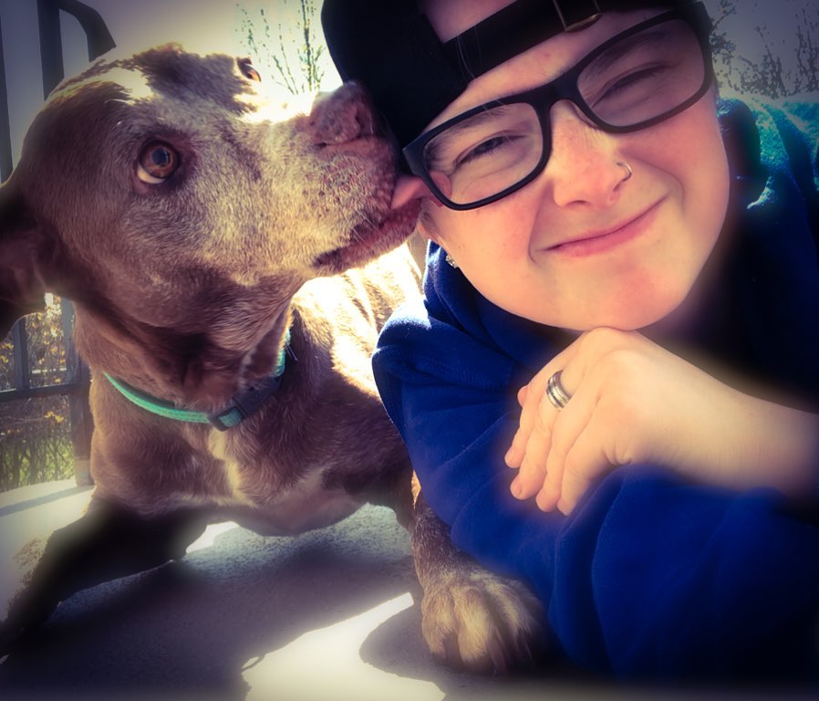 dog licking the owner