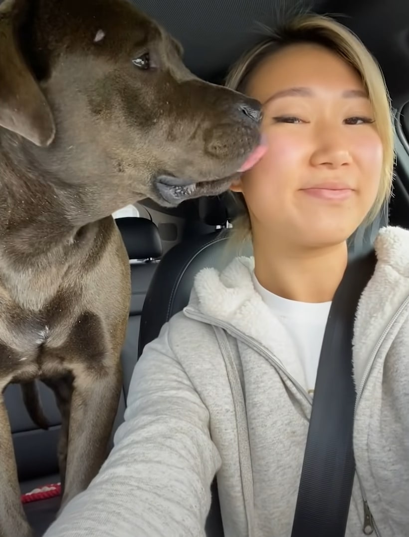 dog licking woman's face 