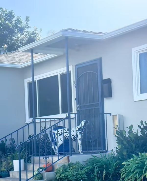 dog on porch