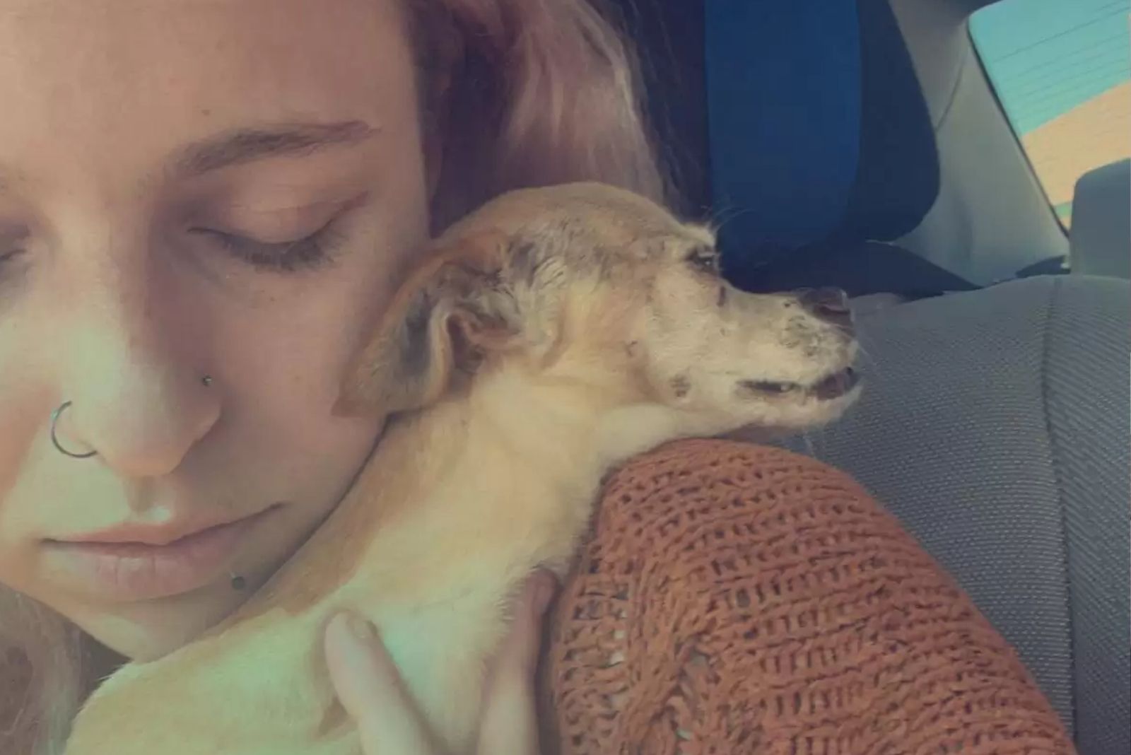 dog on woman's shoulder 