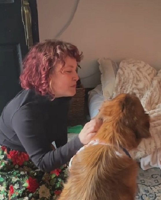 dog receives cuddles from a woman