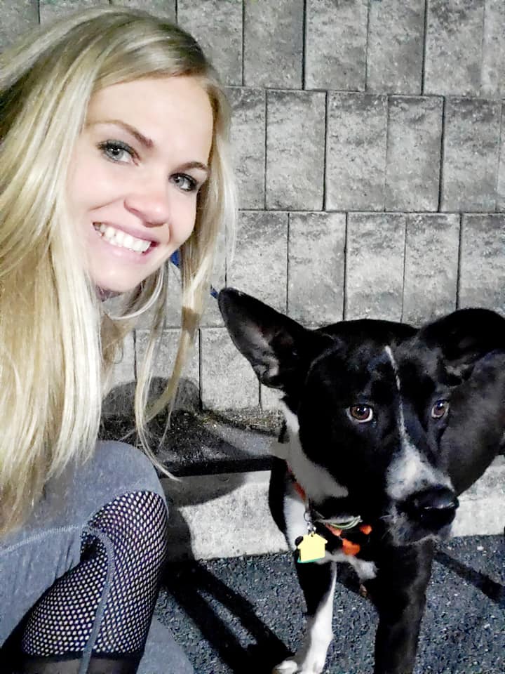 dog with an owner