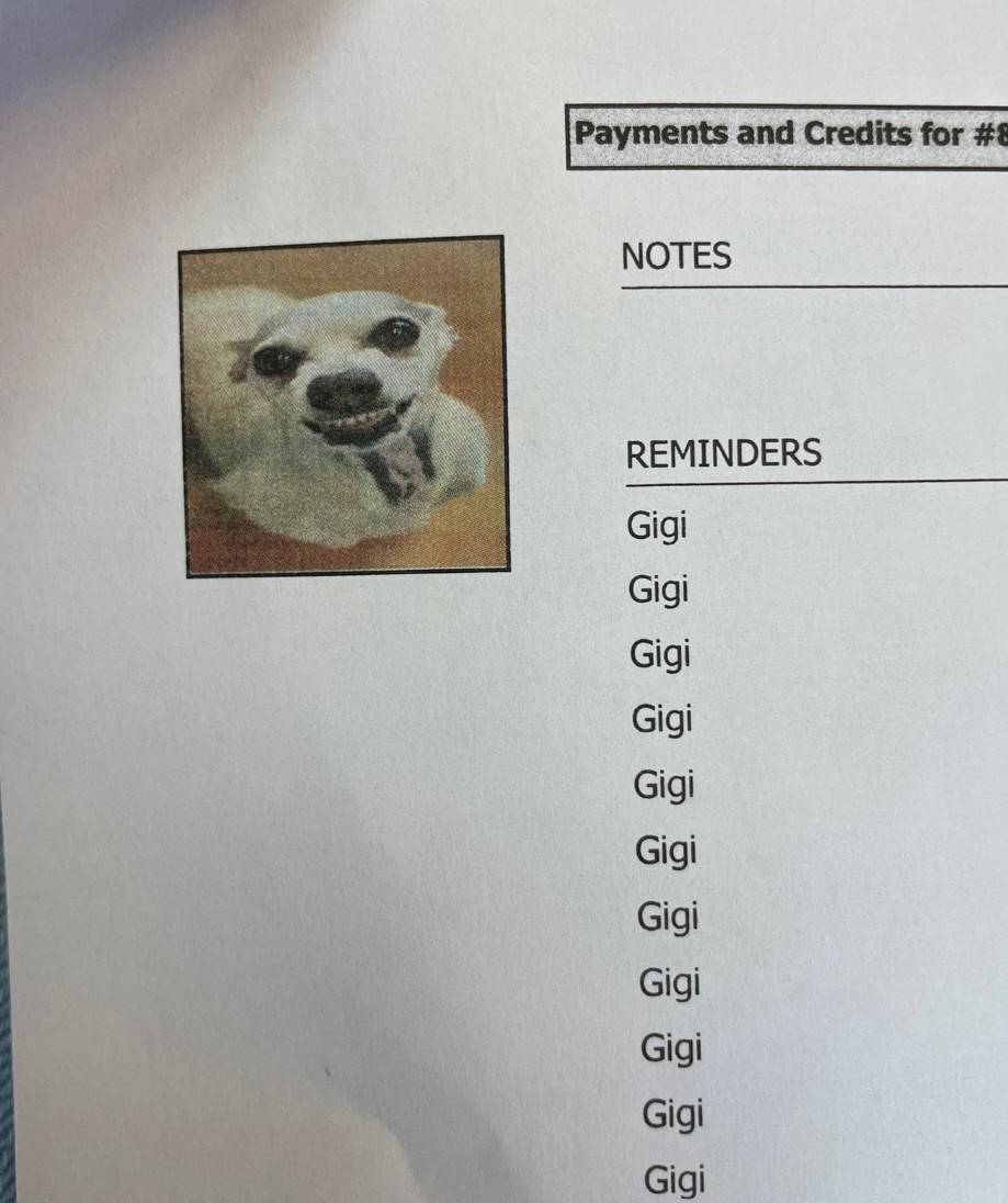 dogs smile on medical record