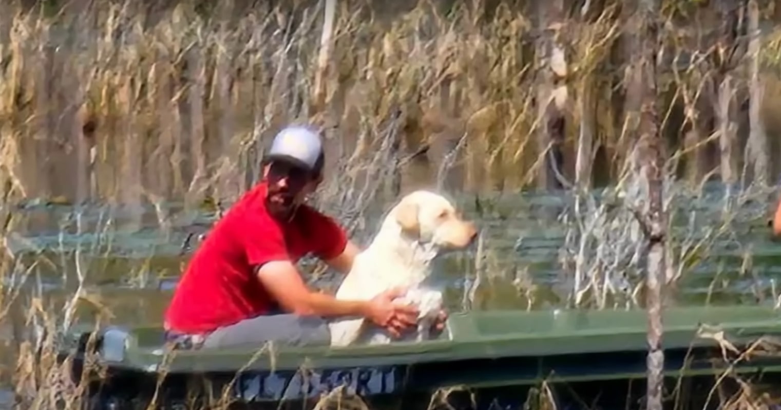 family rescues dog from lake