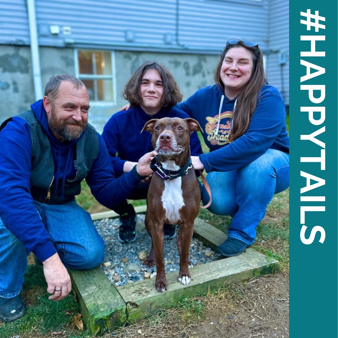 family with adopted dog