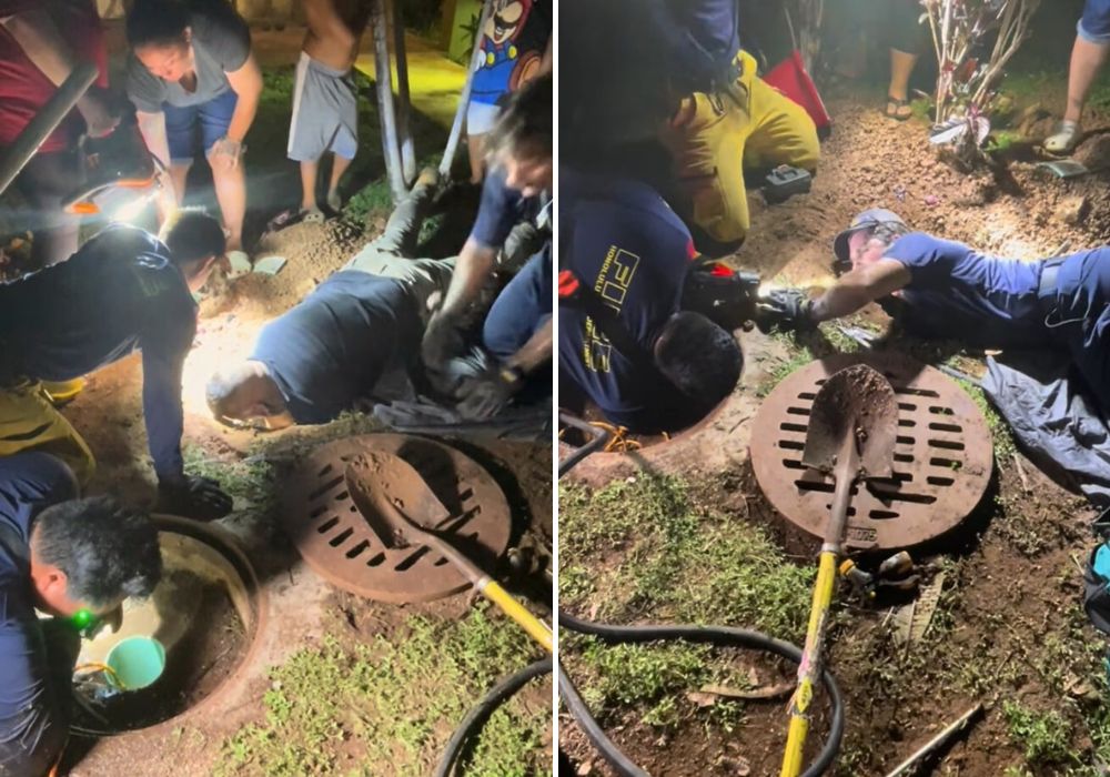 firefighters dig to save trapped dog