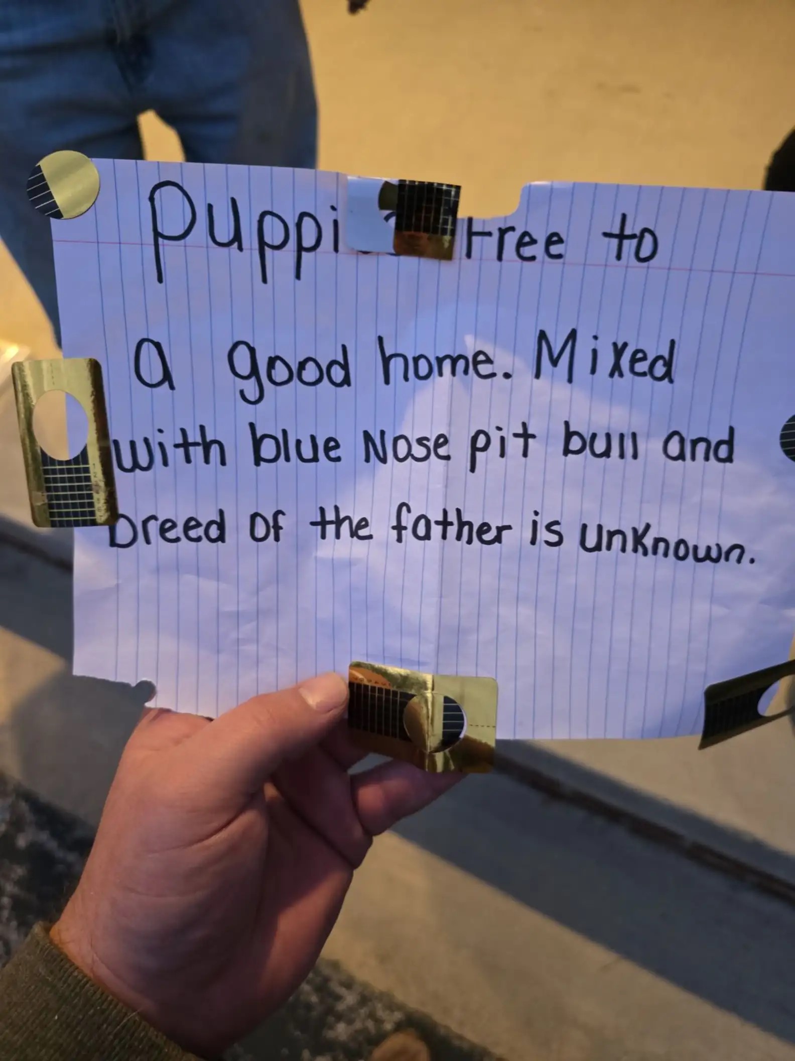 handwritten letter