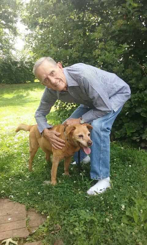 happy man petting a dog 