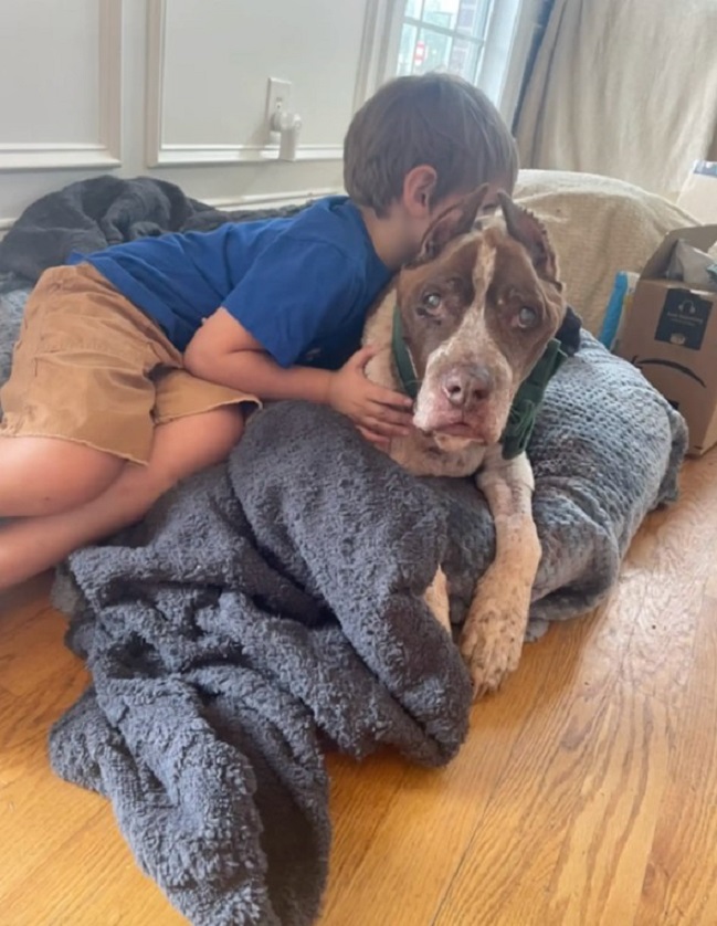 kid and big dog