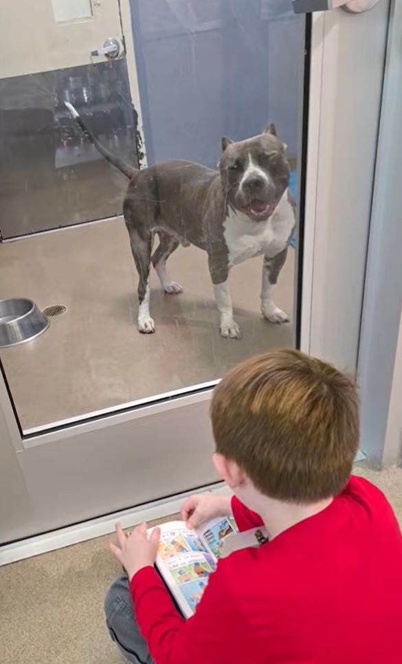 kid and dog