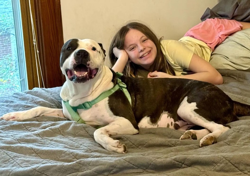 kid and dog on bed