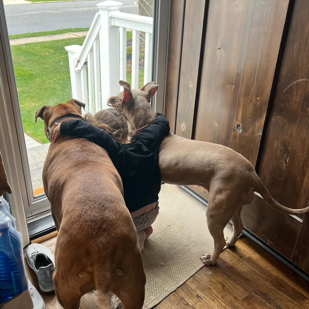 kid and two dogs