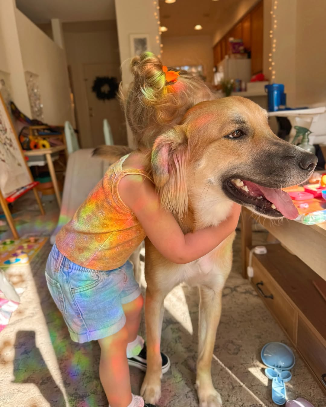 kid hugging a dog