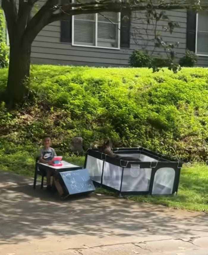 kid playing with dog