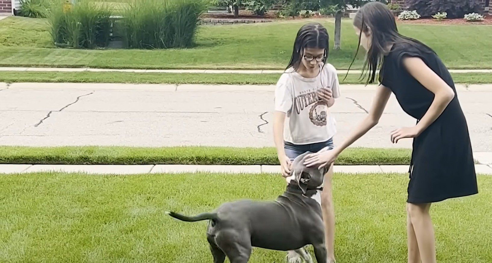 kids and dog