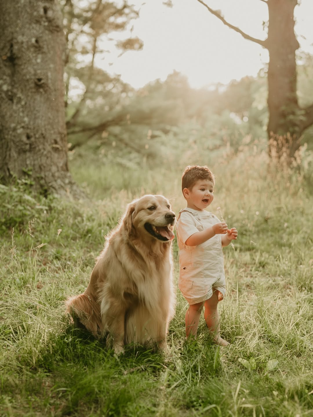 little boy and dog in woods