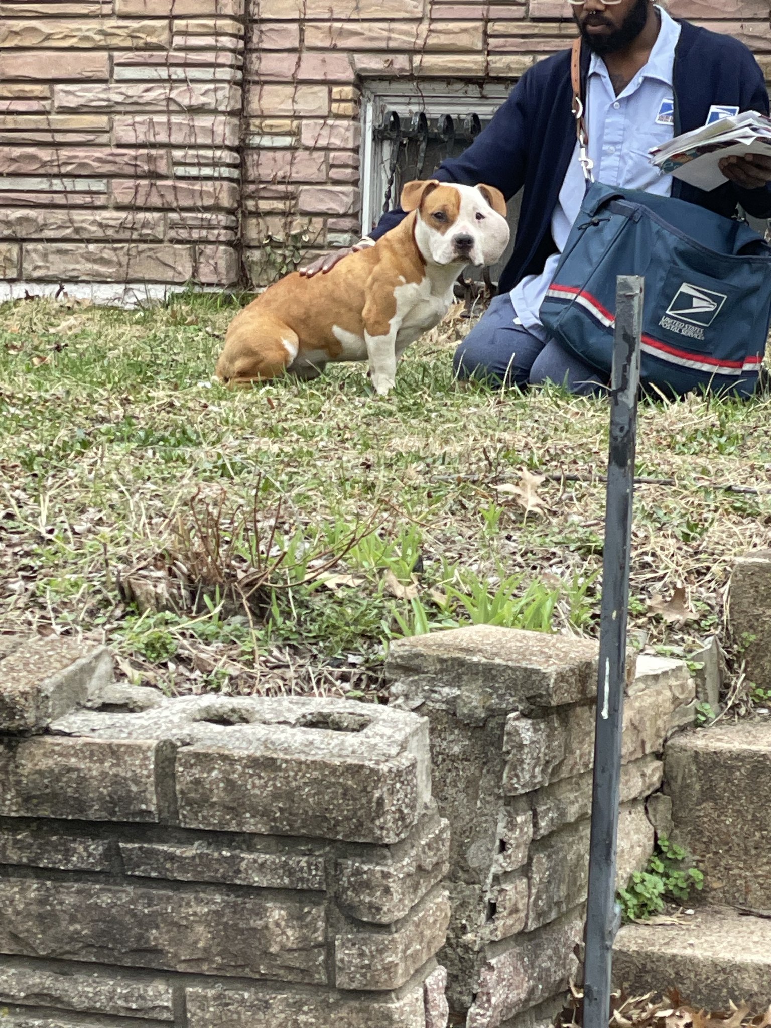 mailman sees dog in need