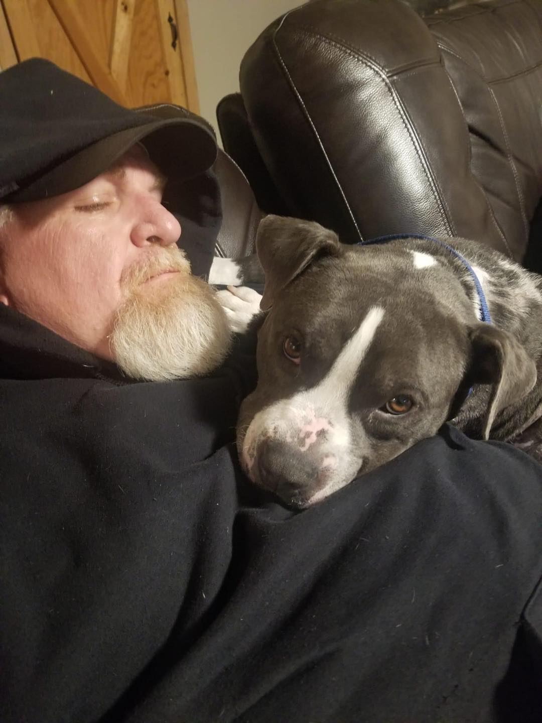 man and black dog